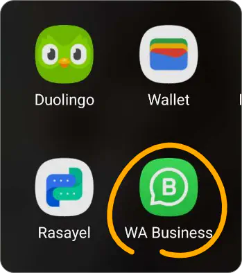 WhatsApp Business app icon