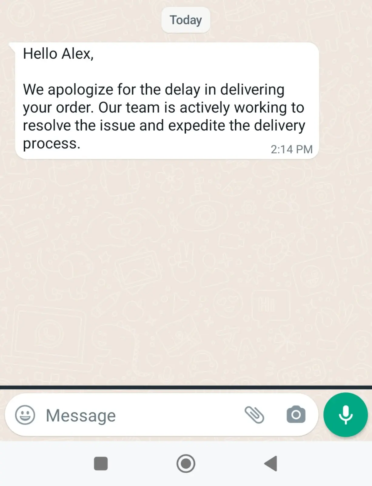 WhatsApp message with a Non-delivered order follow-up