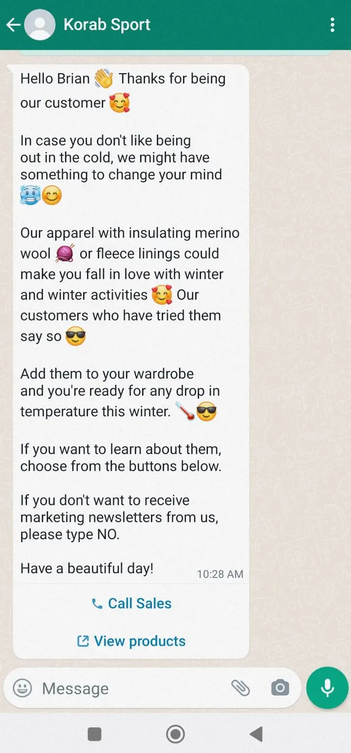 Interactive WhatsApp promotional message with emojis