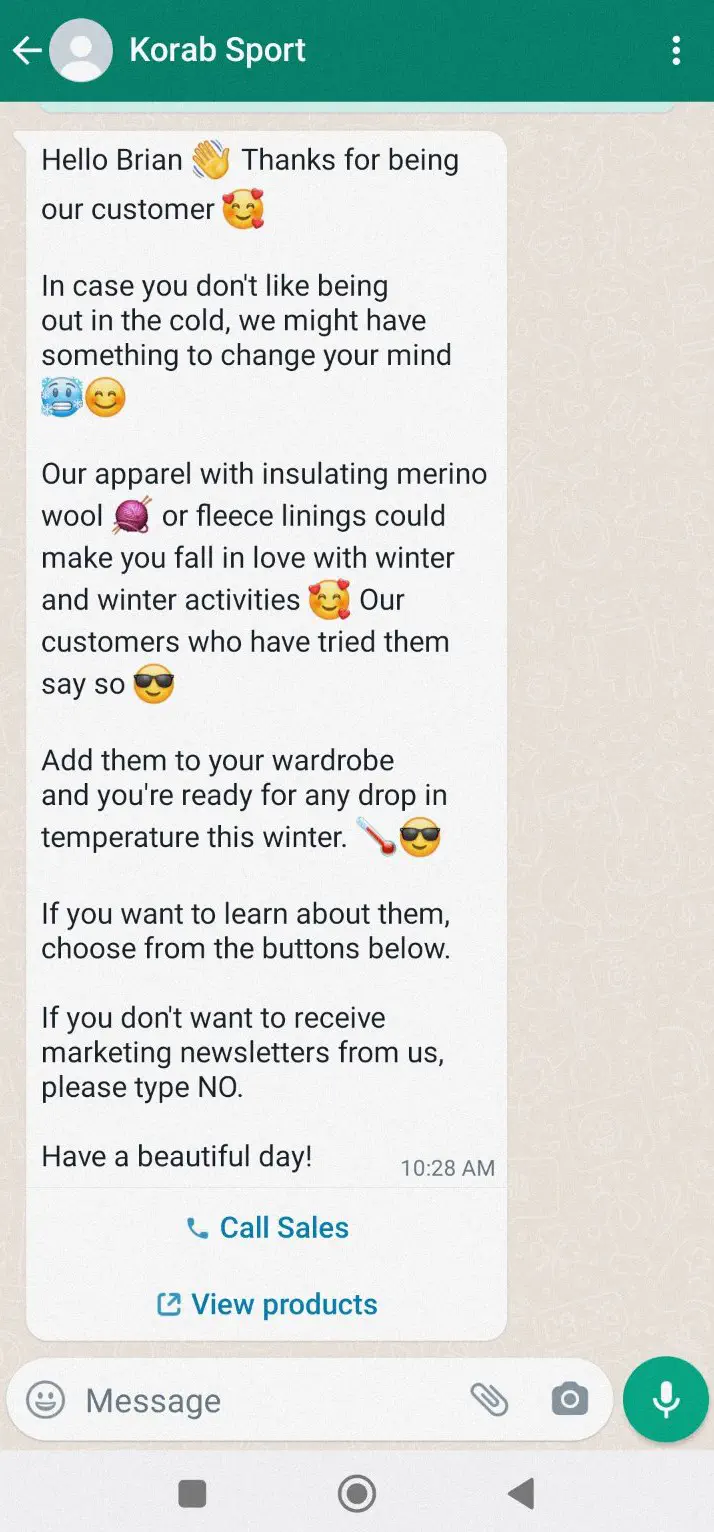Promotional WhatsApp message with emojis.
