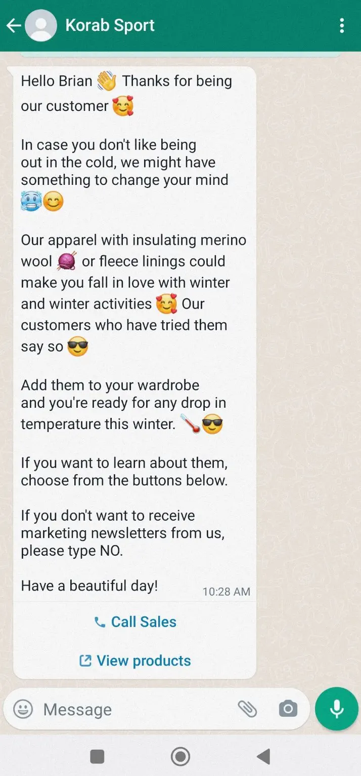 WhatsApp marketing message.