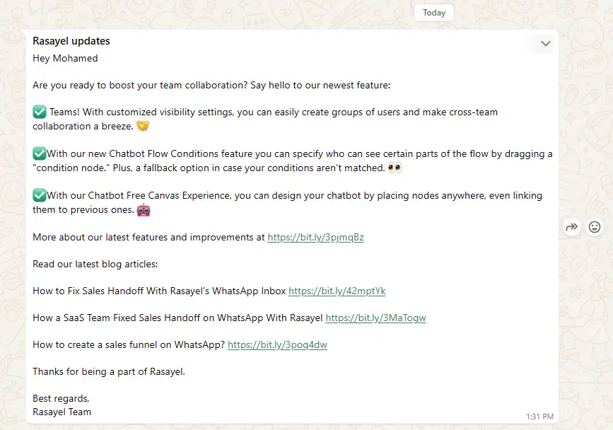 Example of a newsletter message on WhatsApp.