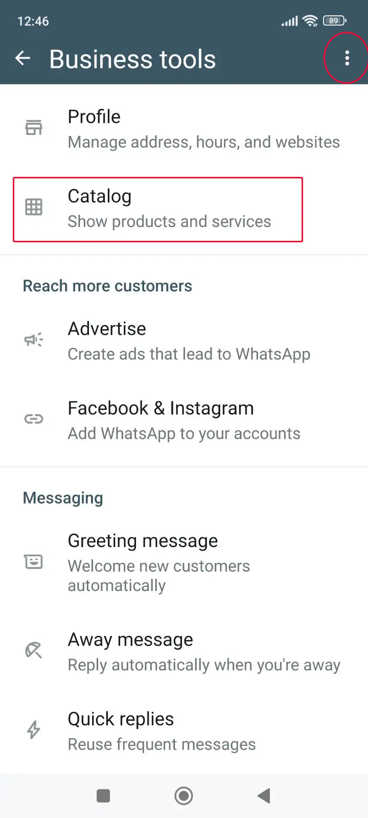 Selecting “catalog” in WhatsApp business tools.