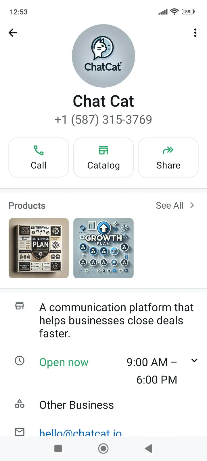 A product catalog, visible on a customer’s WhatsApp