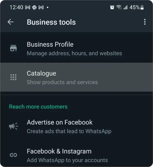 WhatsApp Business catalog.