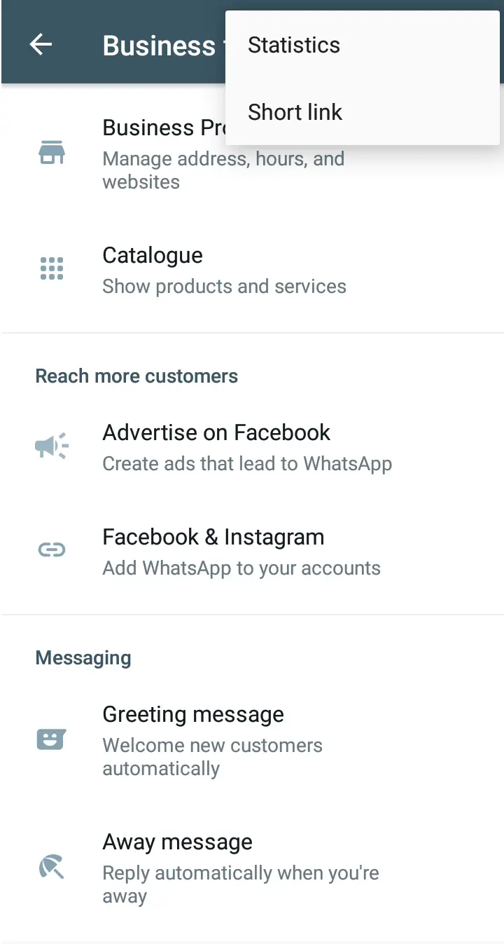 WhatsApp Business statistics menu