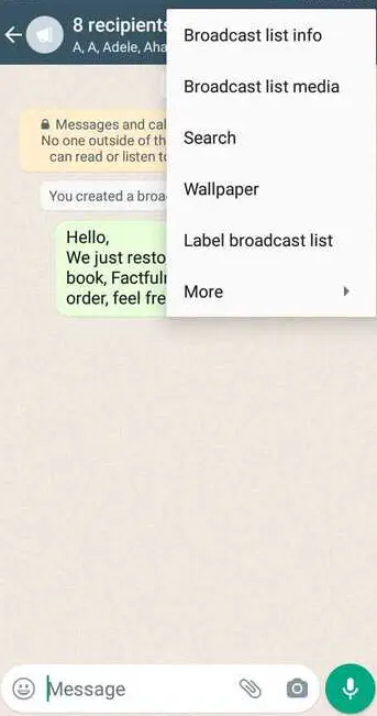 WhatsApp Broadcast List Info.