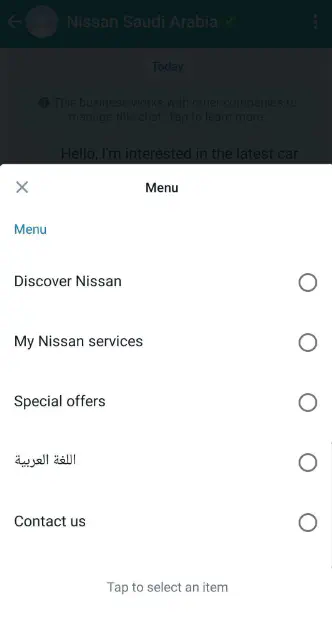 Expanded menu of a WhatsApp list message.